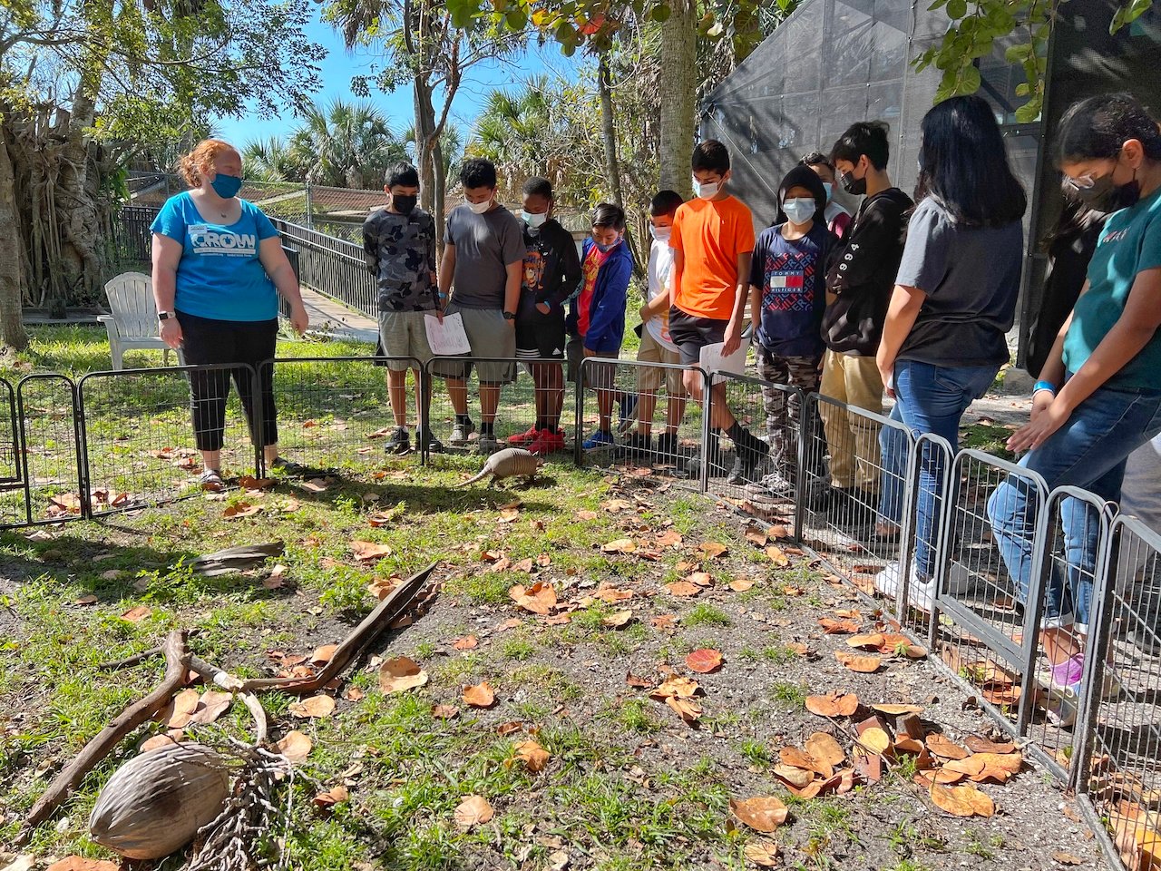 Sixth-grade students from The Immokalee Foundation’s Middle School Program learning about animals at the Clinic for the Rehabilitation of Wildlife (CROW) in Sanibel.